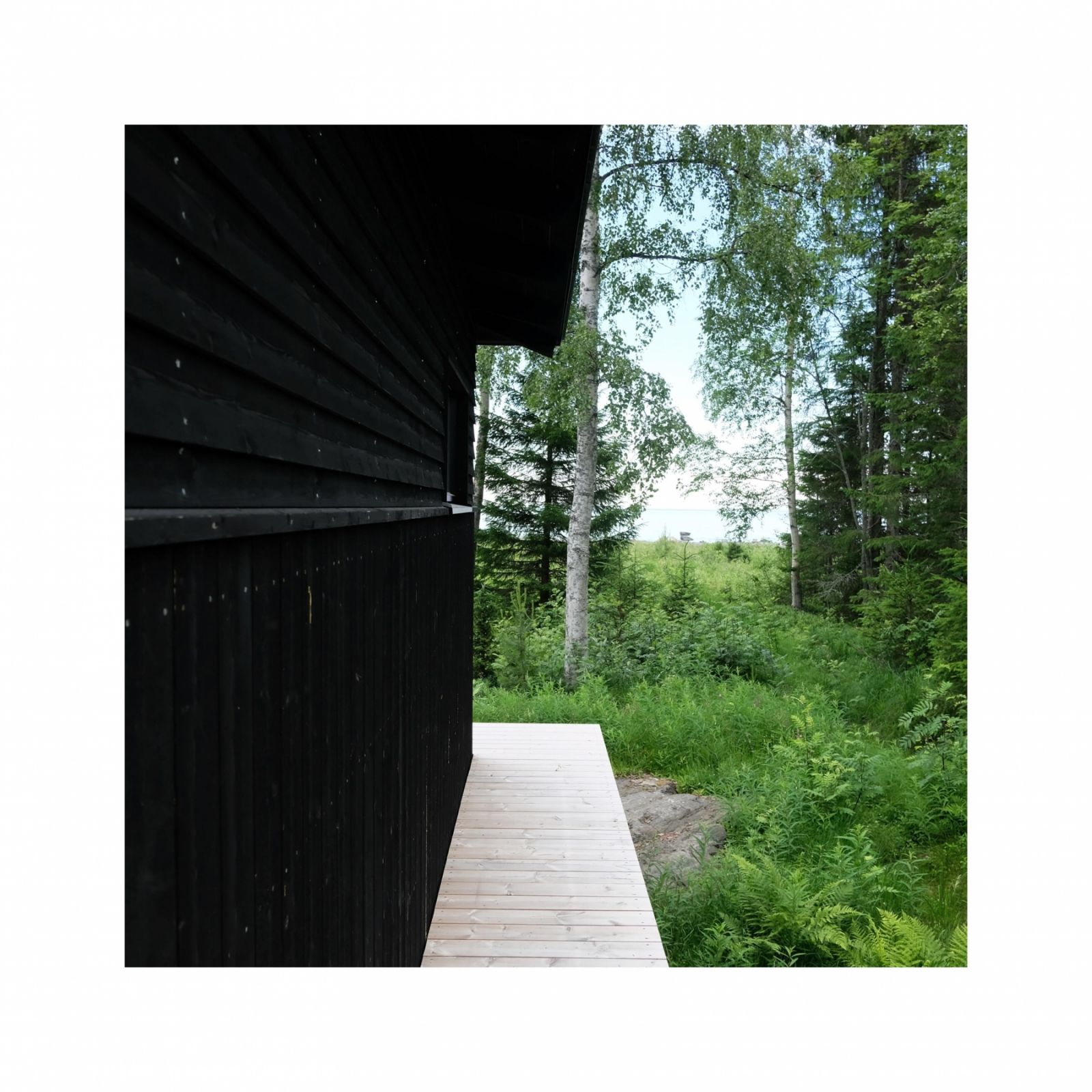 Whitagram Image 7